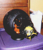 Retrax Being Eaten by the Beast Planet